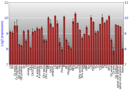 Expression graph