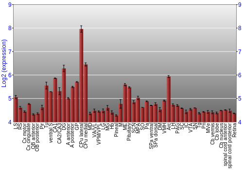 Expression graph