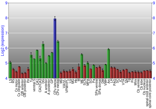 Multi-state expression graph