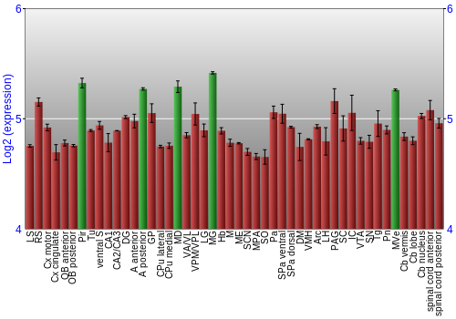 Multi-state expression graph