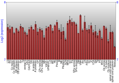 Expression graph