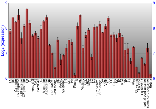 Expression graph