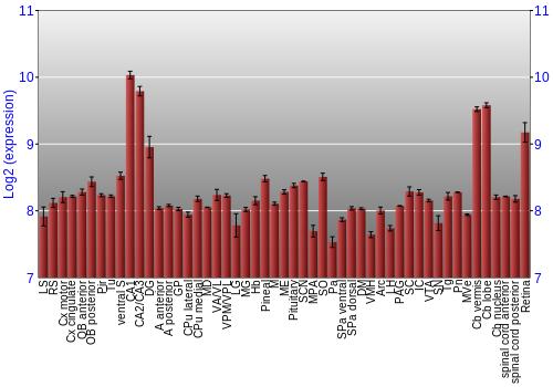 Expression graph