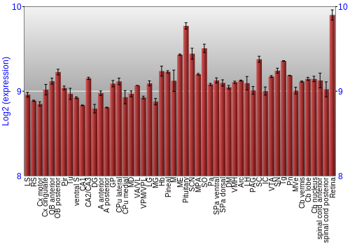 Expression graph