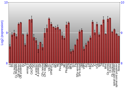 Expression graph