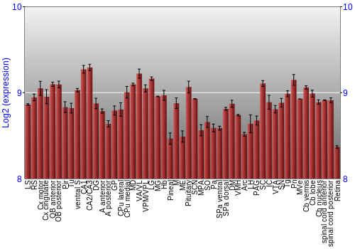 Expression graph