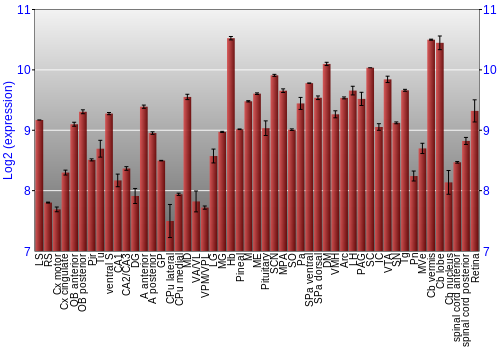 Expression graph