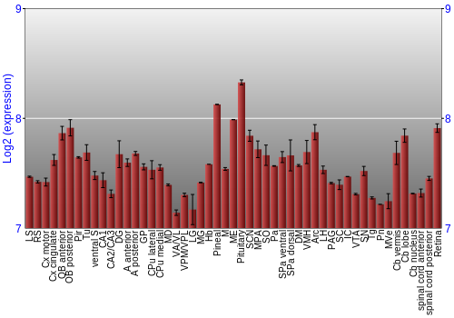 Expression graph