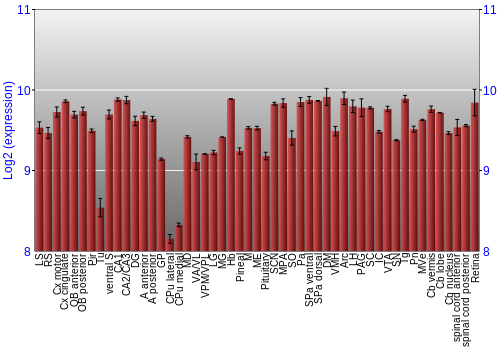 Expression graph