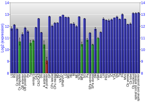 Multi-state expression graph