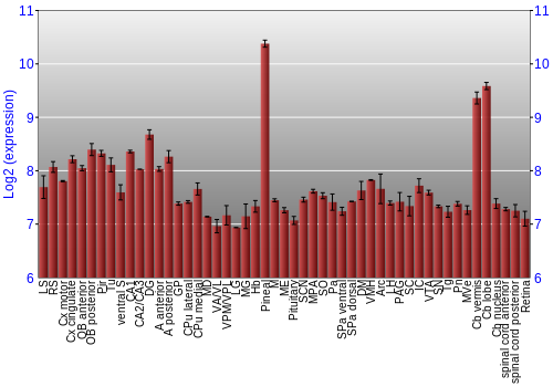 Expression graph