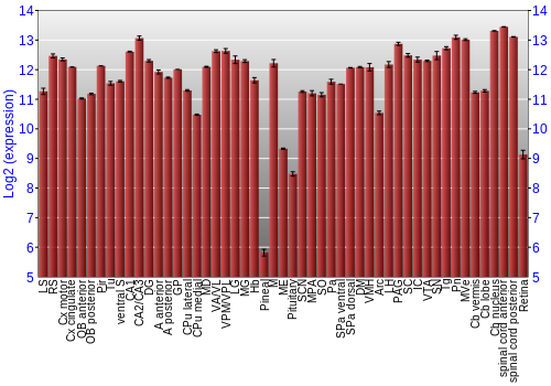 Expression graph