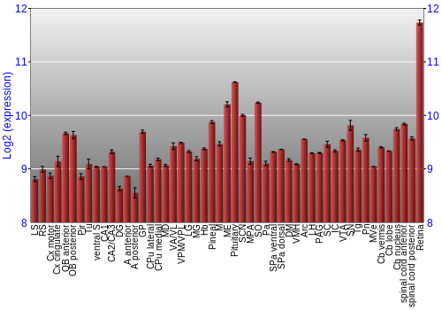 Expression graph