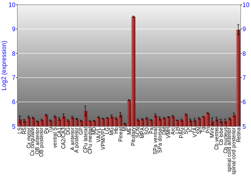 Expression graph