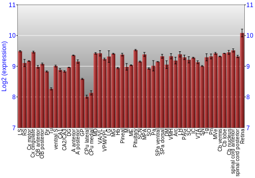 Expression graph