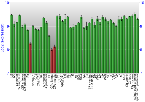 Multi-state expression graph