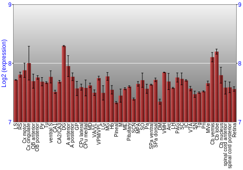 Expression graph