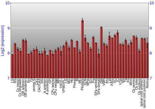 Expression graph