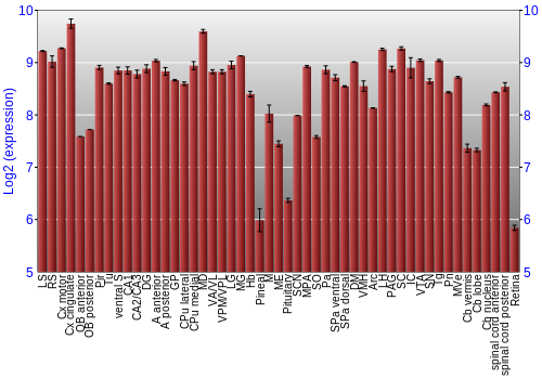Expression graph