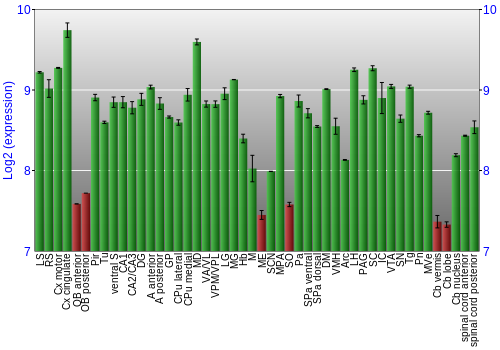 Multi-state expression graph