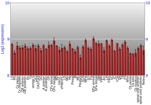 Expression graph