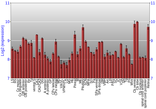 Expression graph