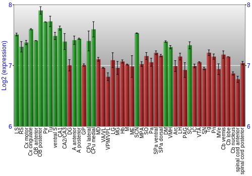 Multi-state expression graph