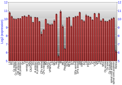 Expression graph