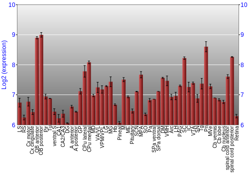 Expression graph