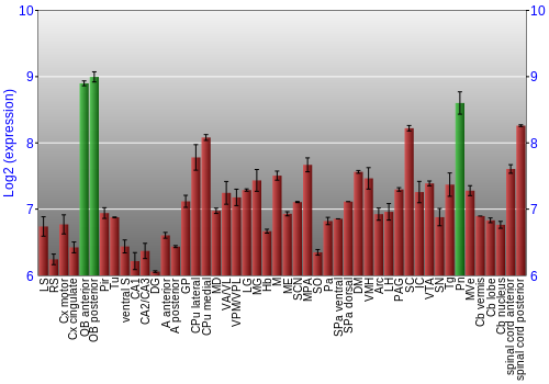 Multi-state expression graph