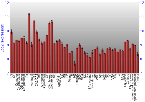 Expression graph
