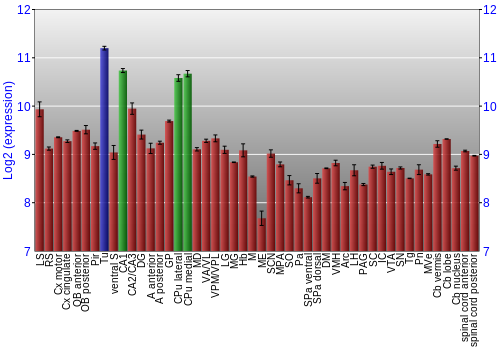 Multi-state expression graph