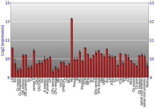 Expression graph