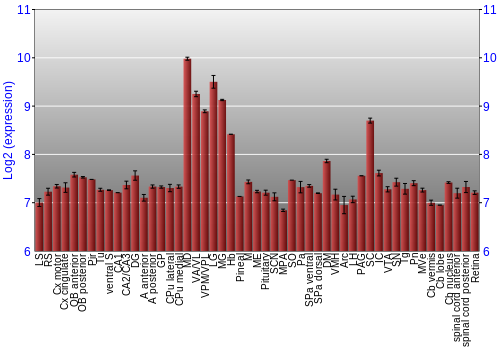 Expression graph