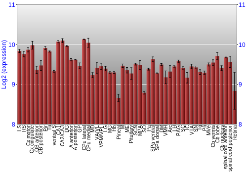 Expression graph