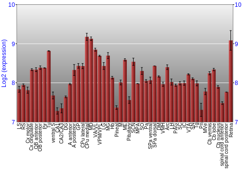 Expression graph