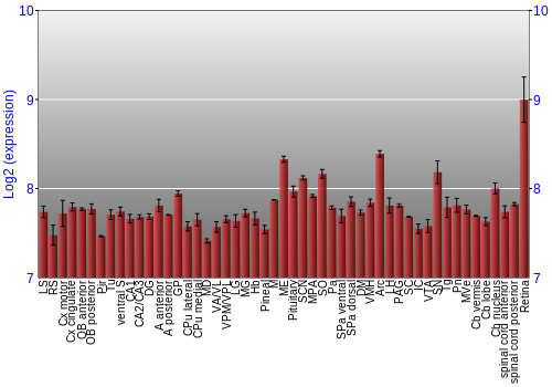 Expression graph