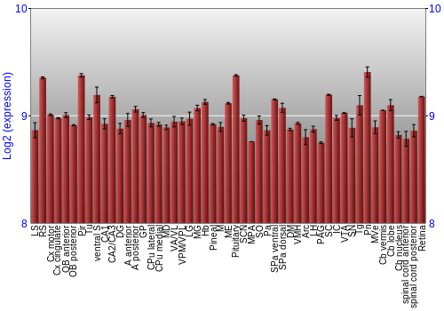 Expression graph