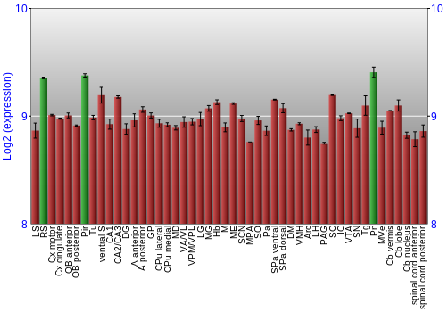 Multi-state expression graph