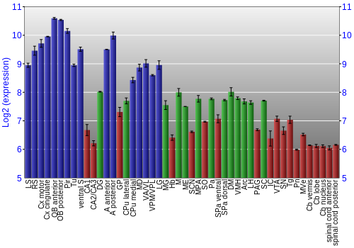 Multi-state expression graph