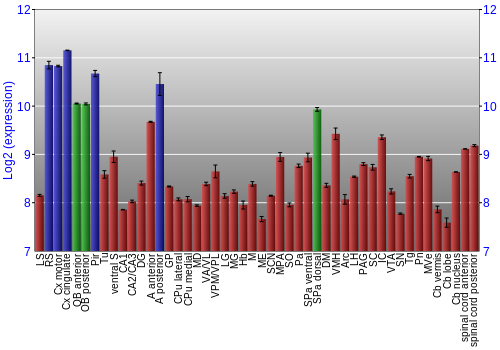 Multi-state expression graph