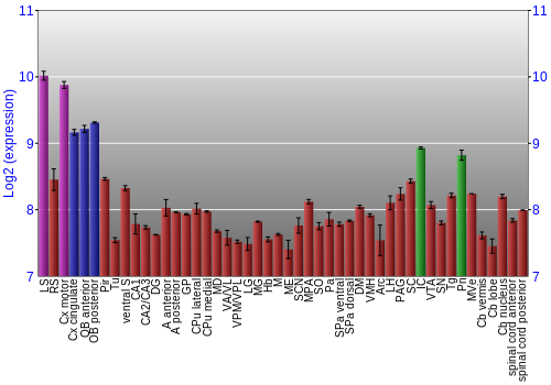 Multi-state expression graph