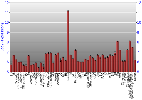Expression graph