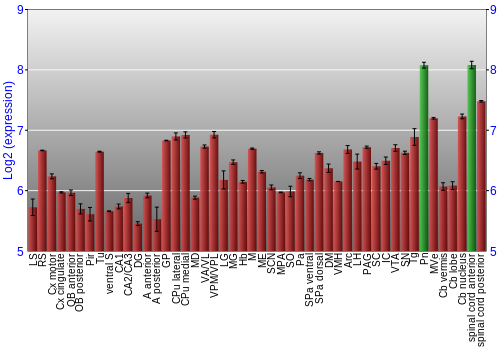 Multi-state expression graph