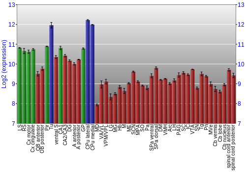Multi-state expression graph