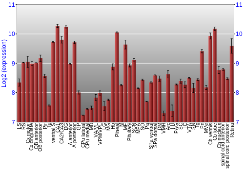 Expression graph