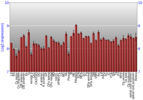 Expression graph