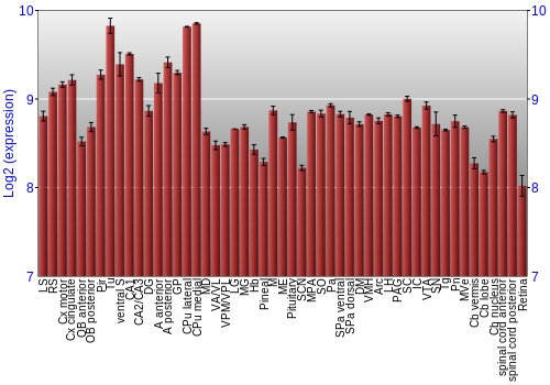 Expression graph