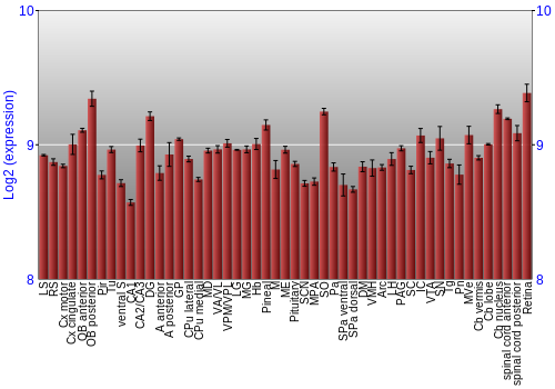 Expression graph