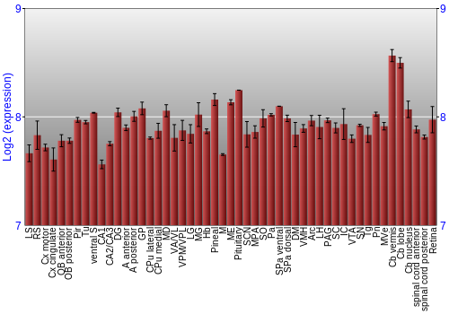 Expression graph